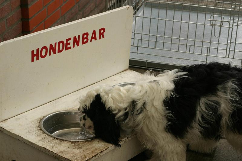 JH dag 2008 067.jpg